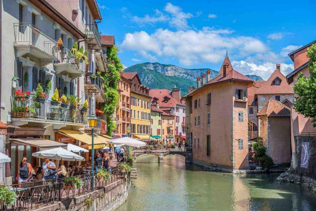 La Perle Du Thiou - Charmant T3 Au Centre D'Annecy Avec Parking Prive Exterior foto
